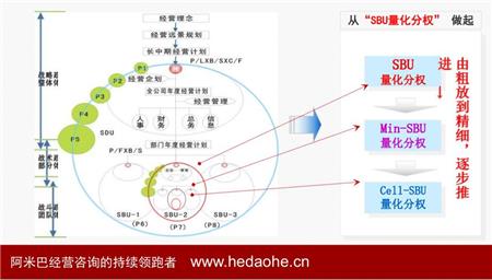 阿米巴组织结构图